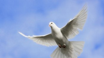 csm_Article1TheThirdPerson_3627e4958f